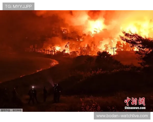 开云体育波胆赔率对比避坑指南极速提现防骗